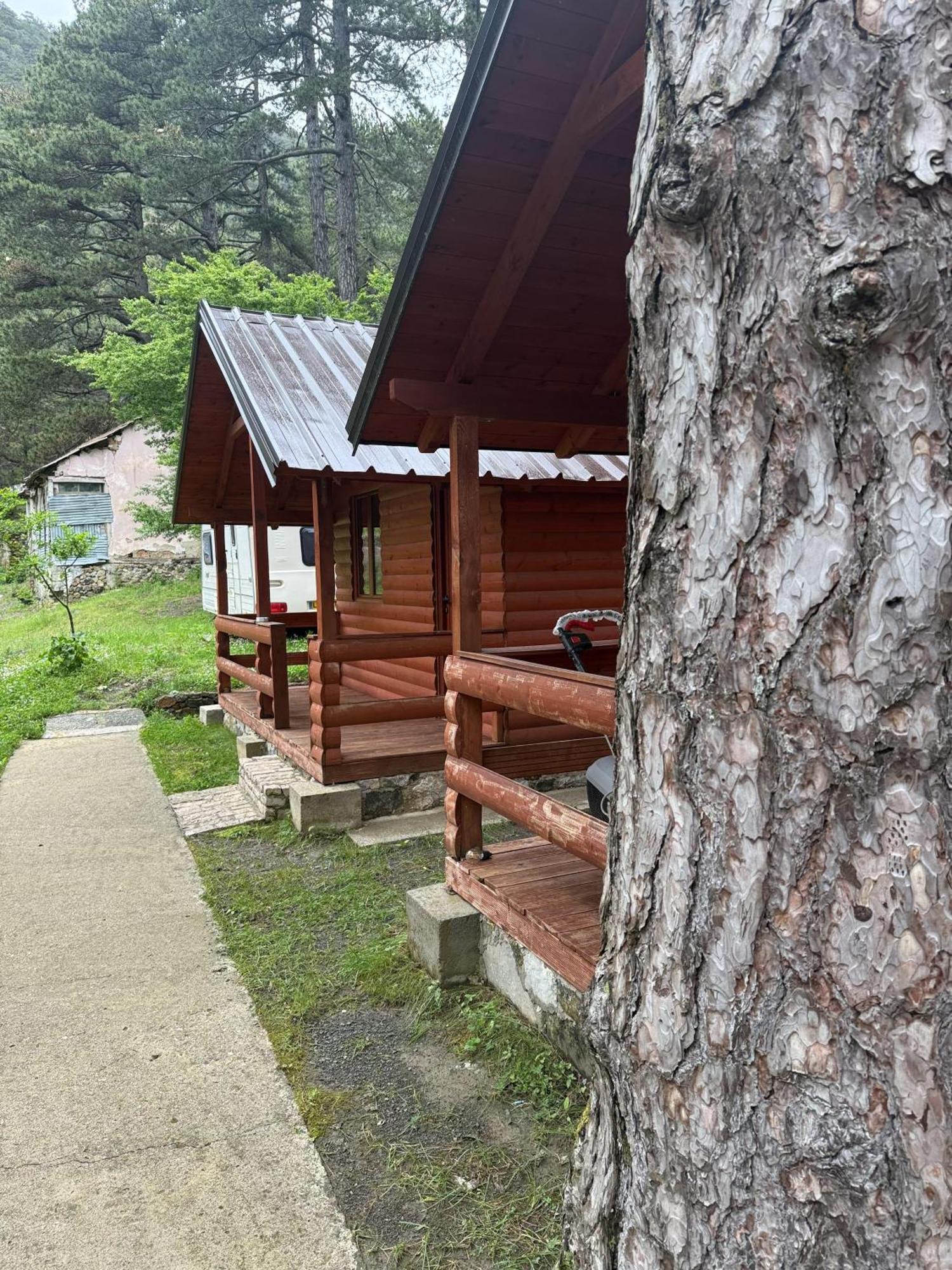 Restaurant Sajmiri Kruje